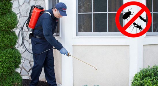 Bornova Bit İlaçlama böcek ilaçlama ve haşere kontrolü — ilaclama-tr.com